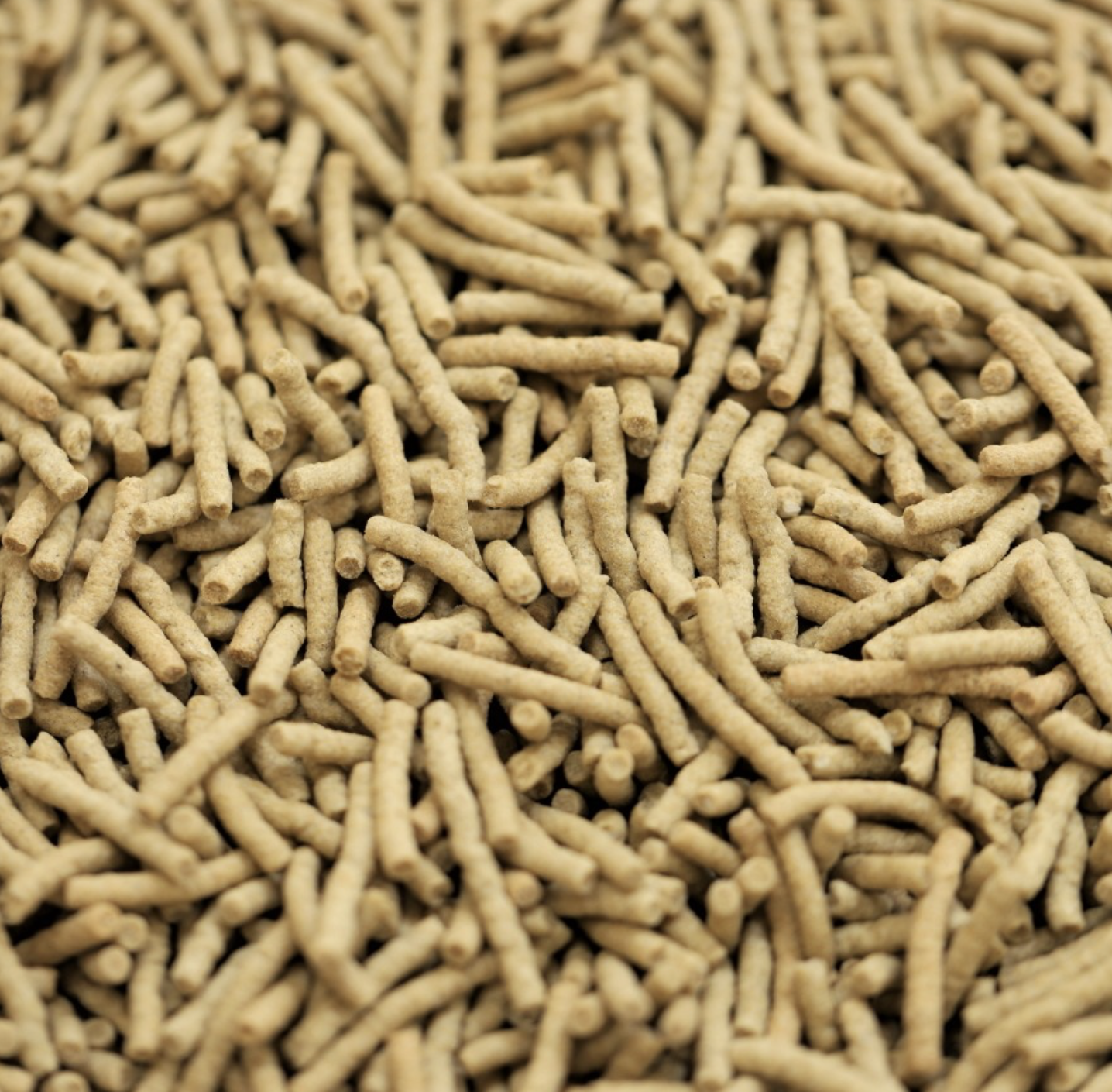 rice-bran-shreds-bulk