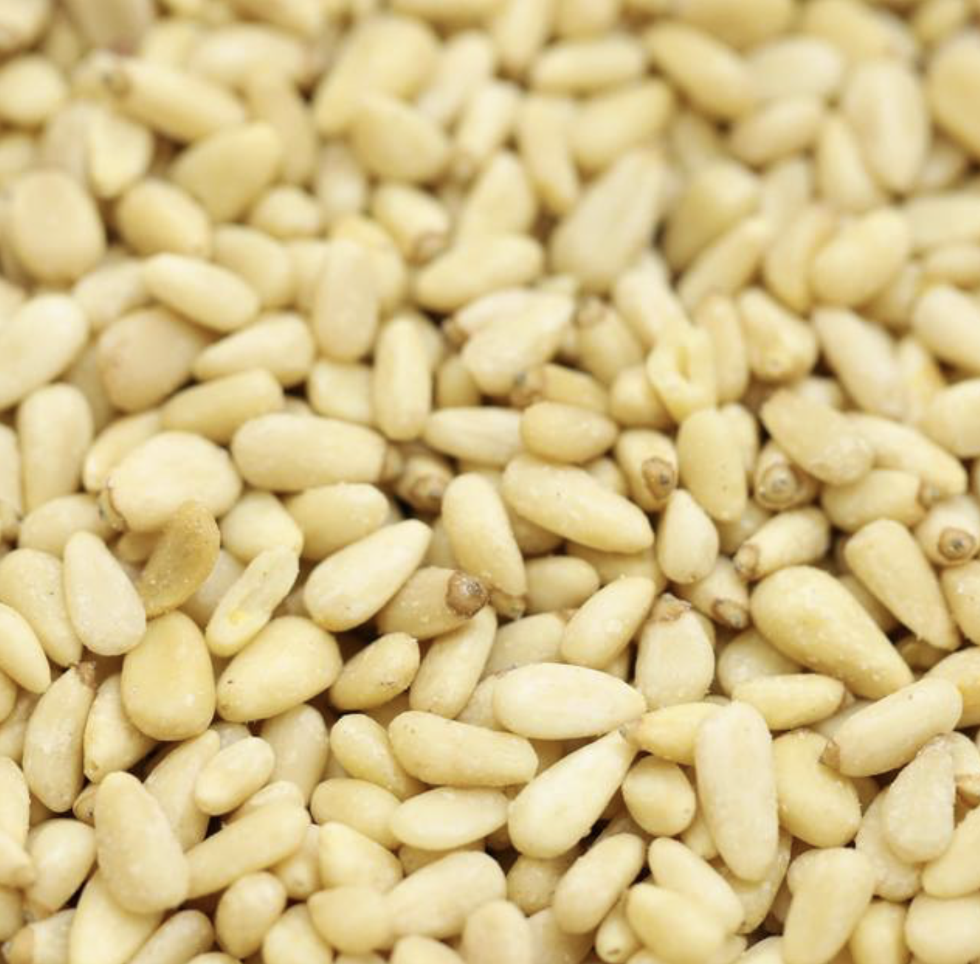 PINE NUTS ORGANIC - Bulk