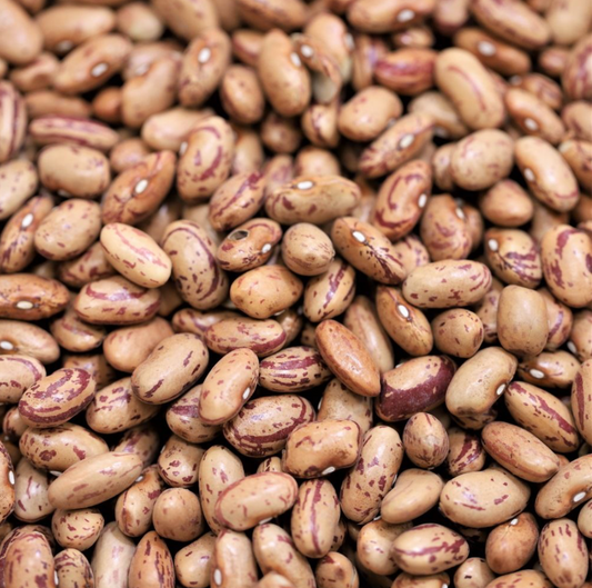 borlotti-beans-bulk