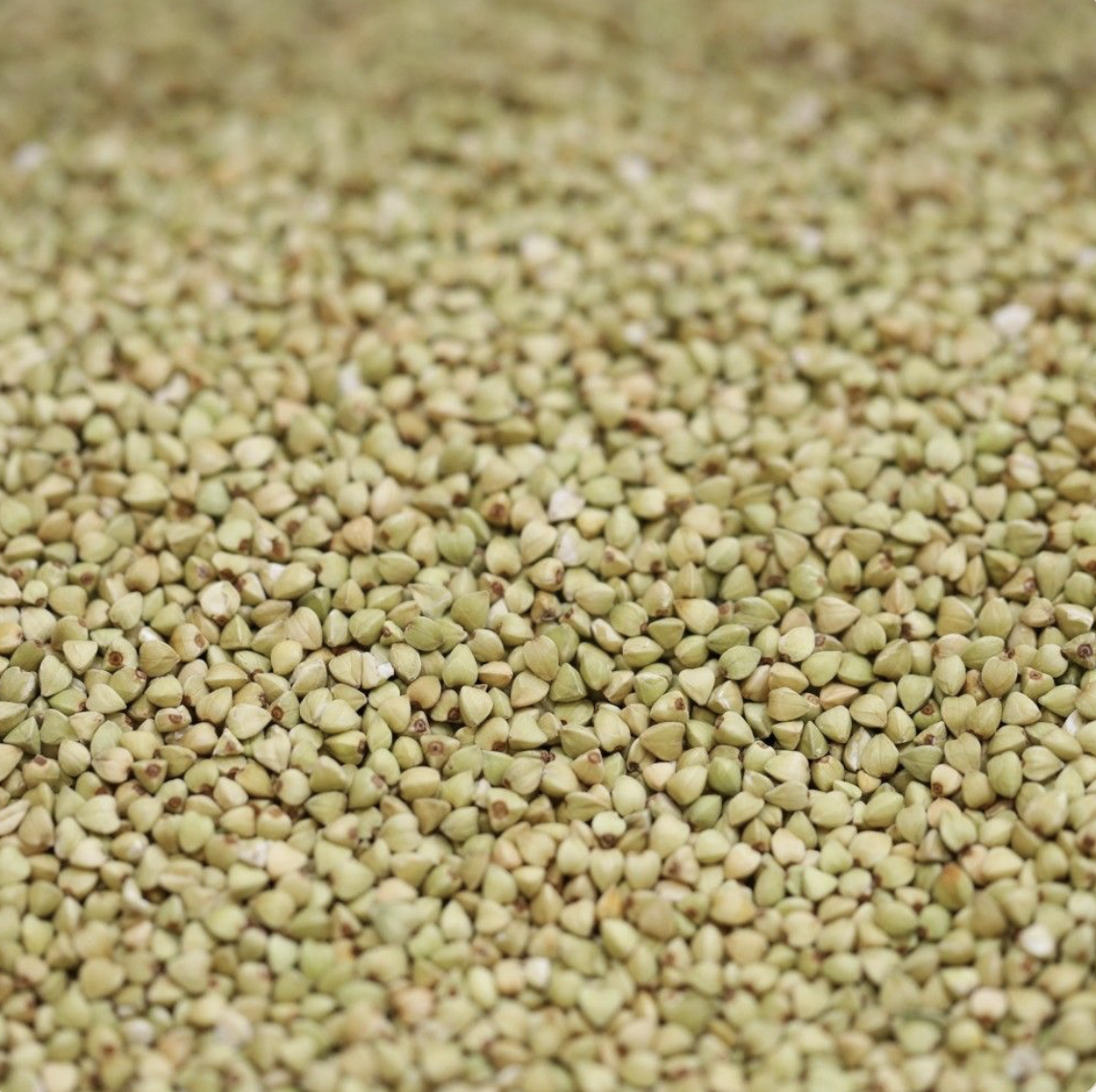 buckwheat-activated-organic-bulk