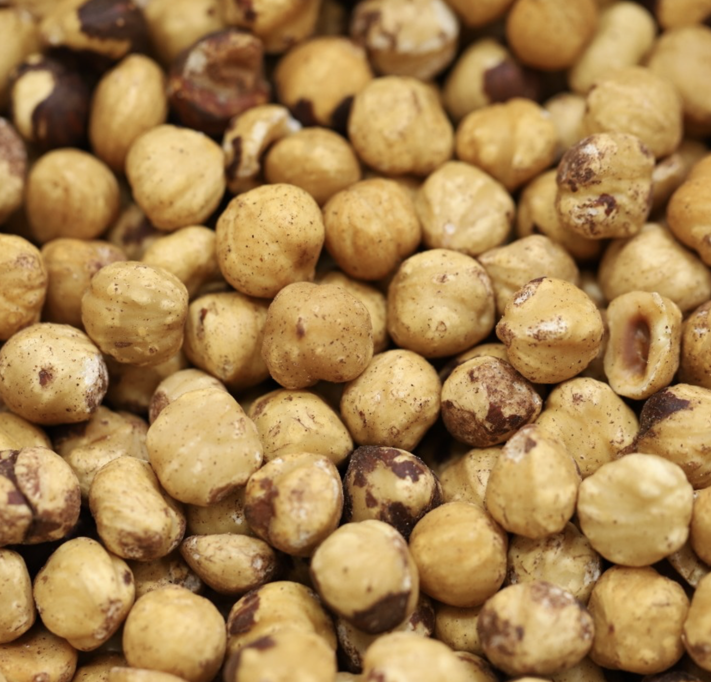 HAZELNUTS DRY ROASTED - Bulk