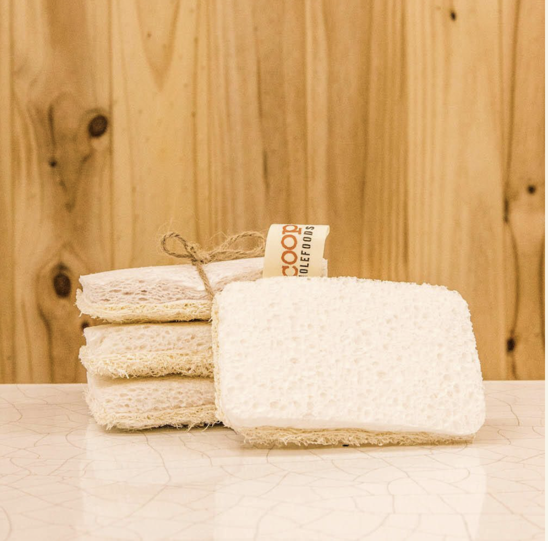 SPONGE DISHWASHING COCONUT & CELLULOSE