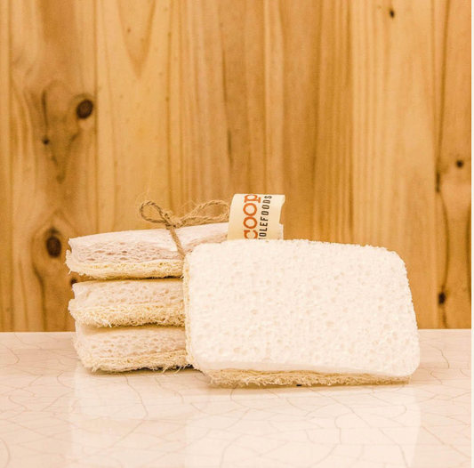 SPONGE DISHWASHING COCONUT & CELLULOSE