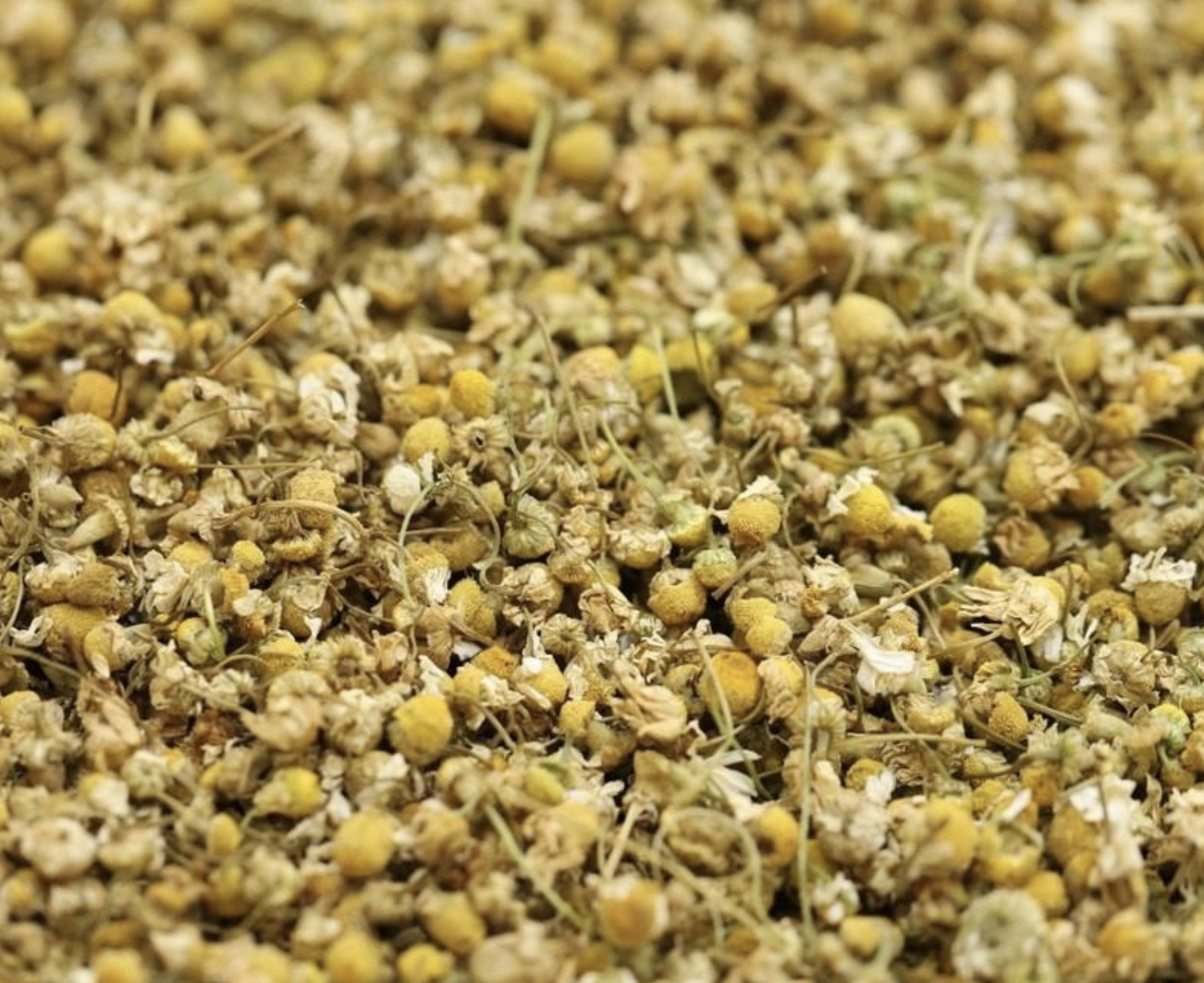 chamomile-flowers-tea-organic-bulk