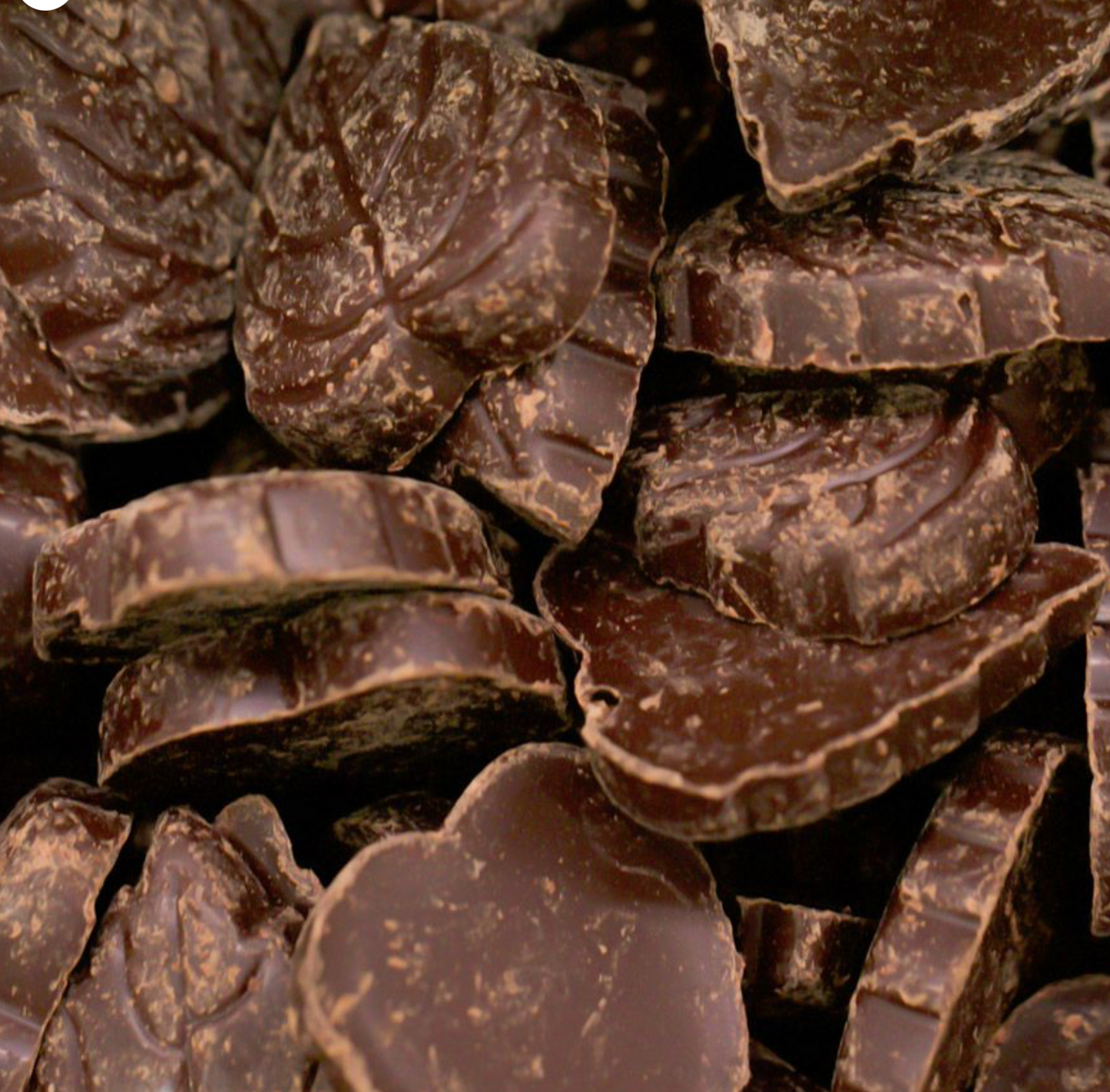 100-dark-chocolate-leaf-bulk