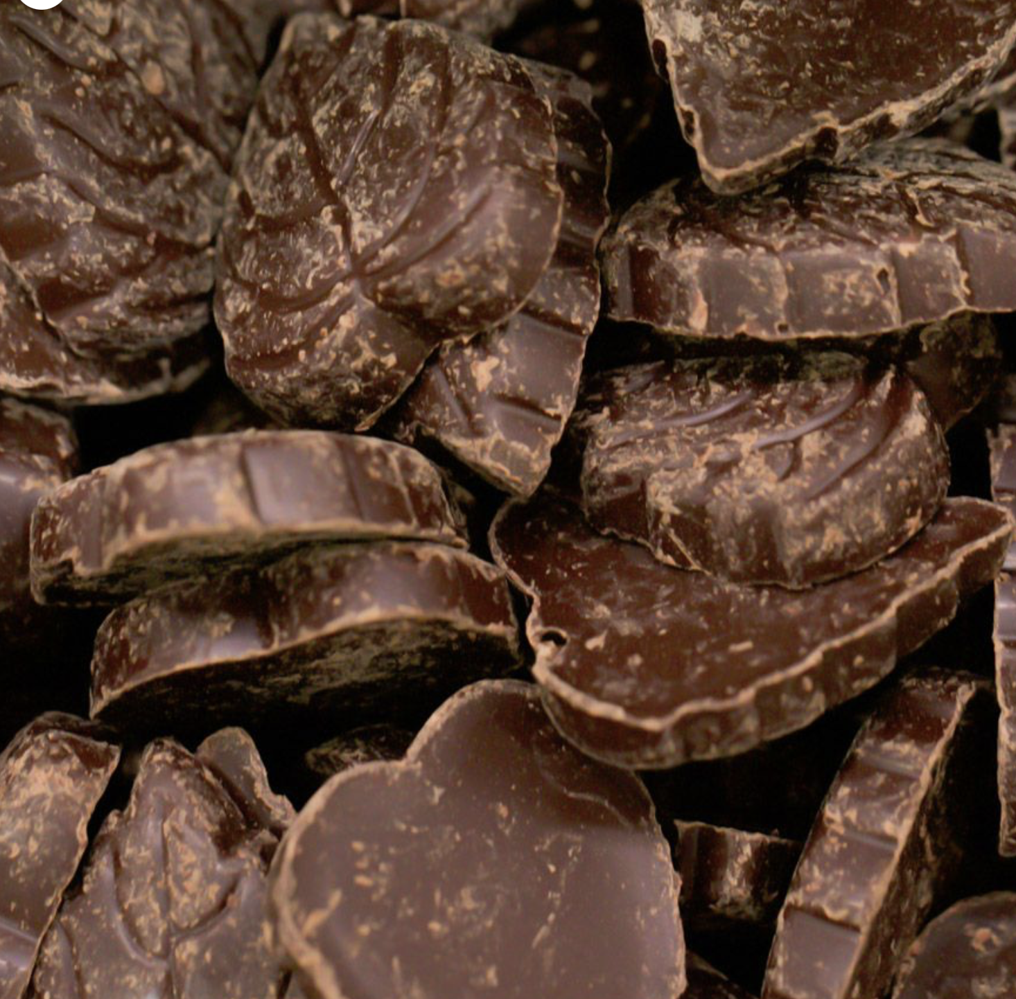 100-dark-chocolate-leaf-bulk