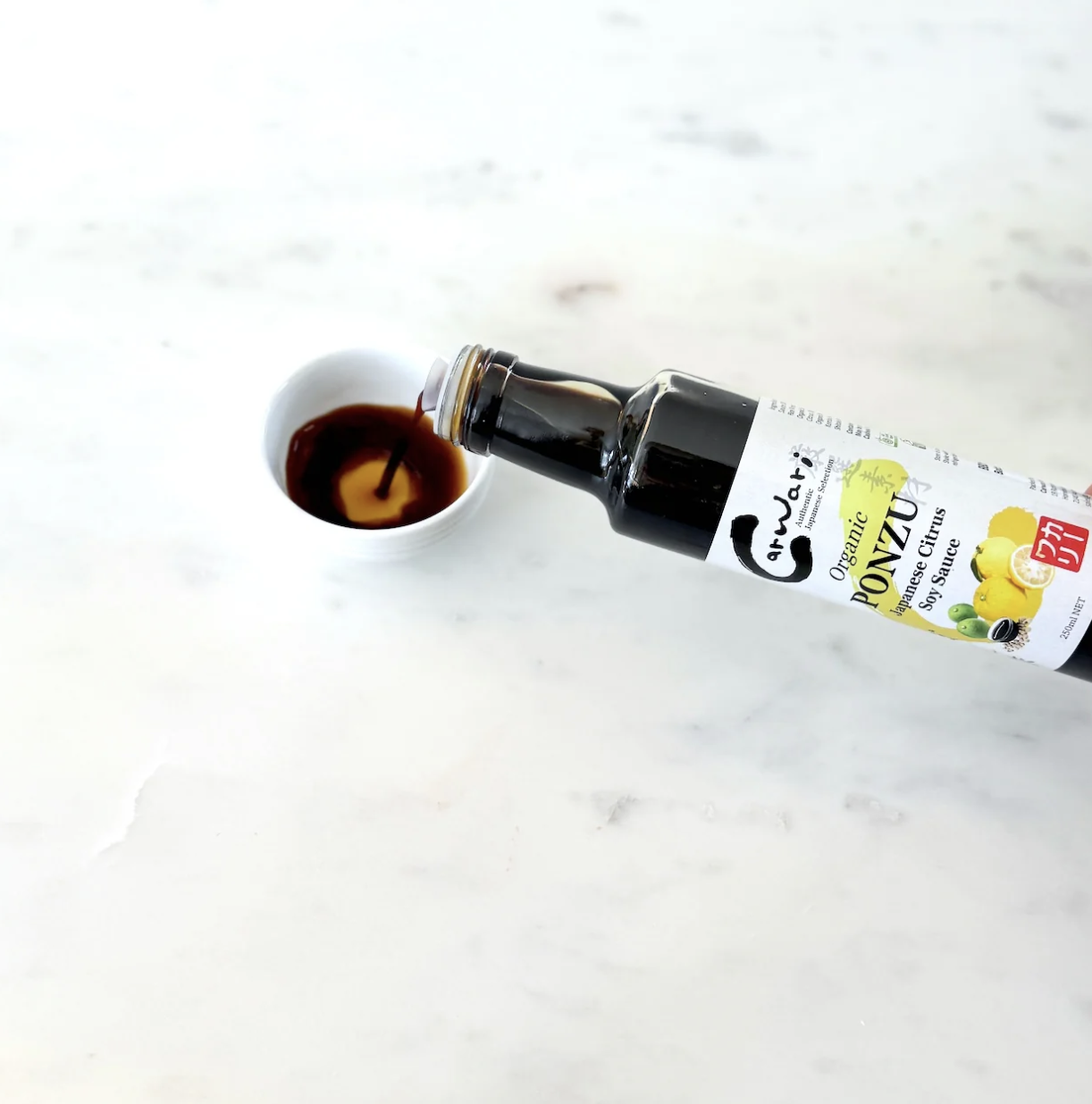 JAPANESE Worcestershire Sauce ORGANIC GLUTEN-FREE 250ML