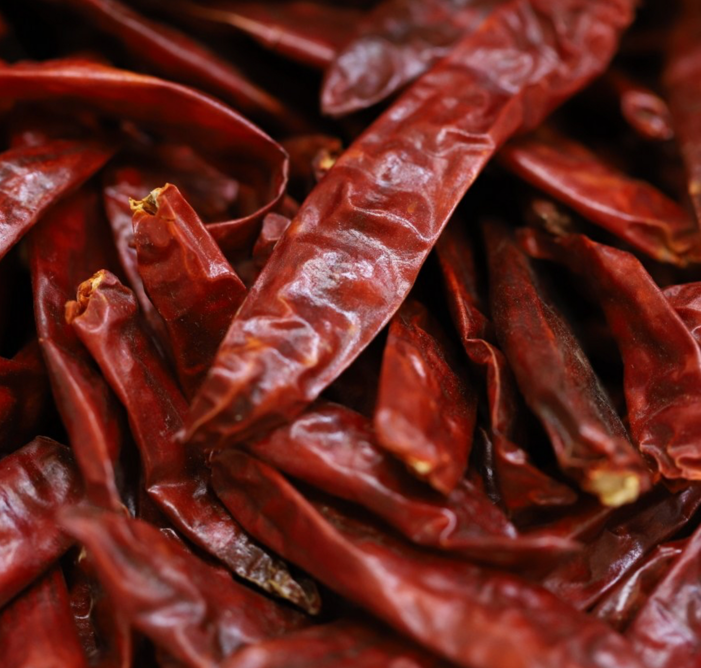 chilli-red-whole-bulk