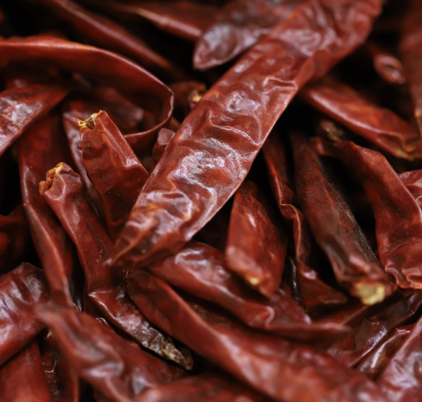 chilli-red-whole-bulk