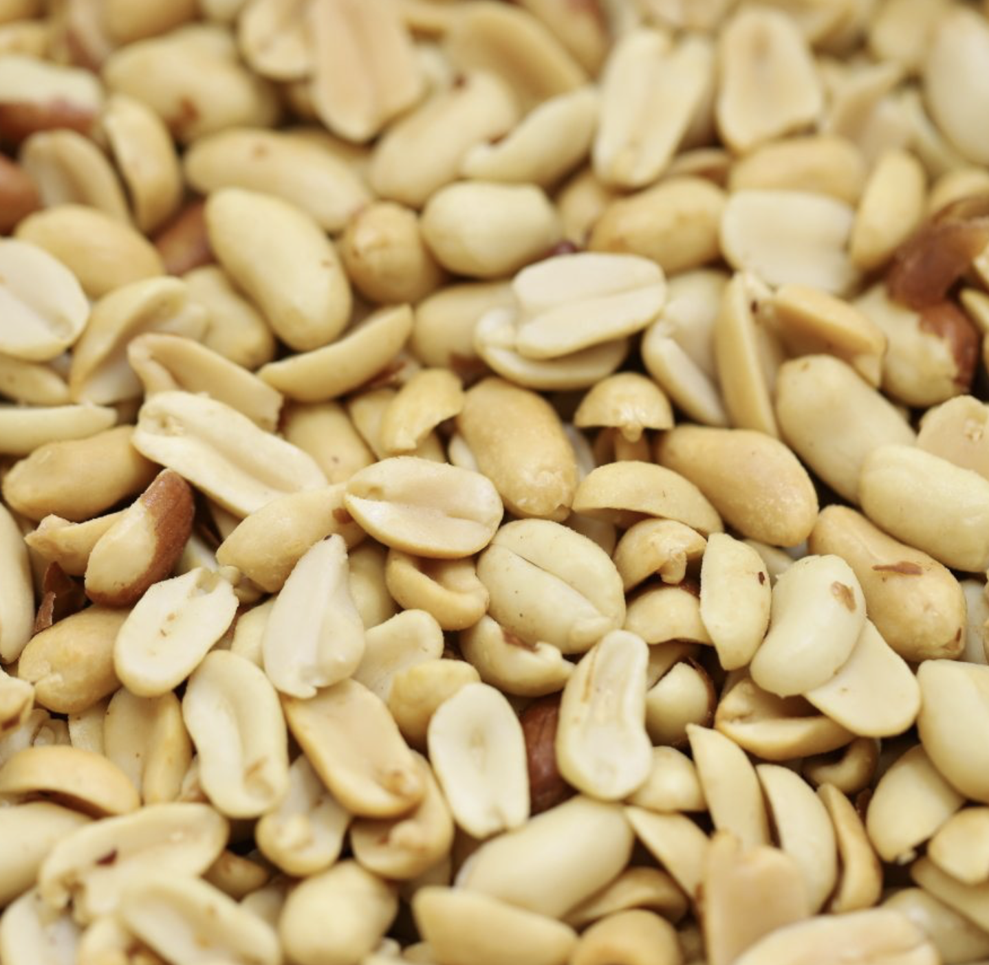 PEANUTS SALTED - Bulk