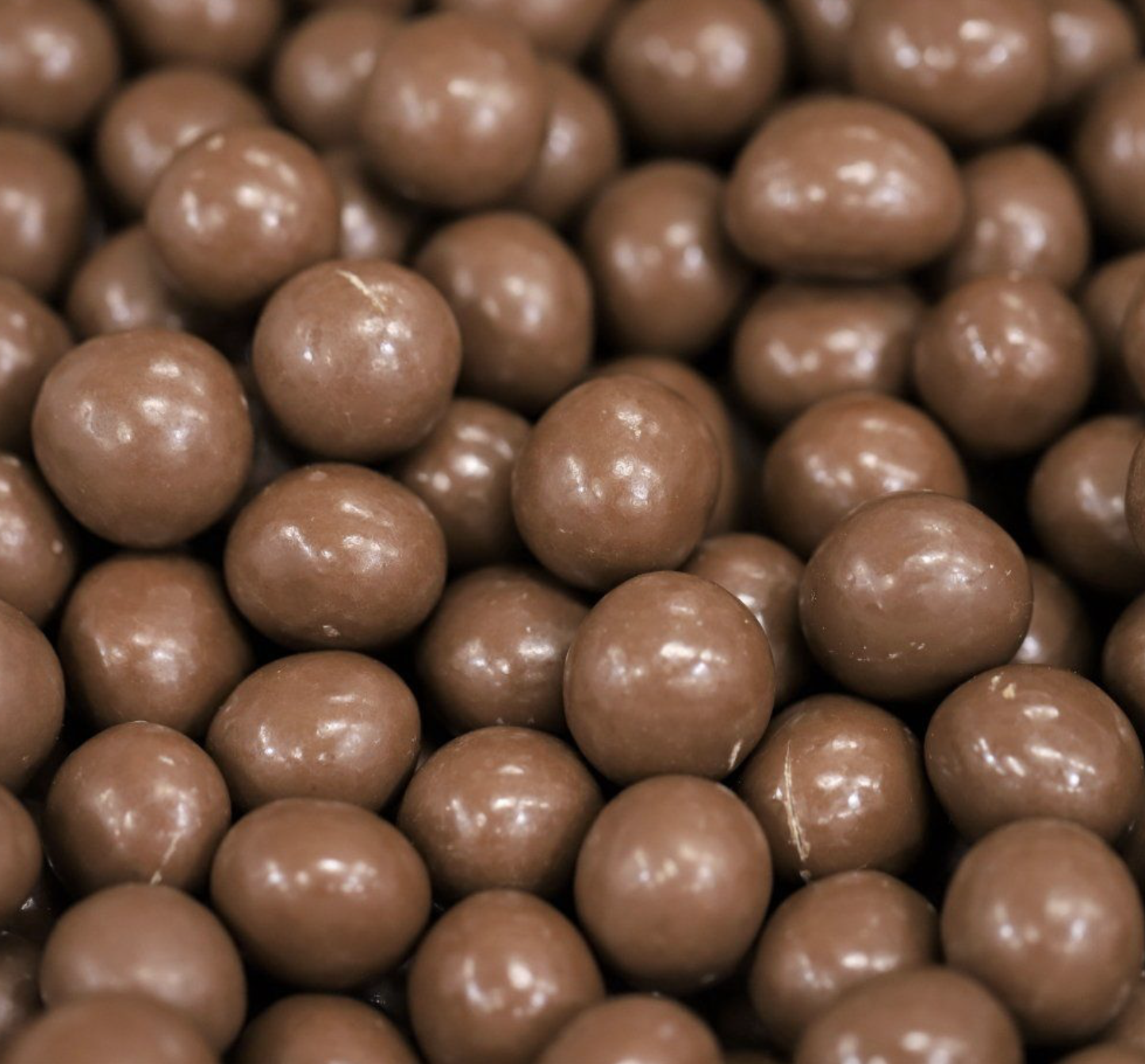 MACADAMIA MILK CHOCOLATE - Bulk