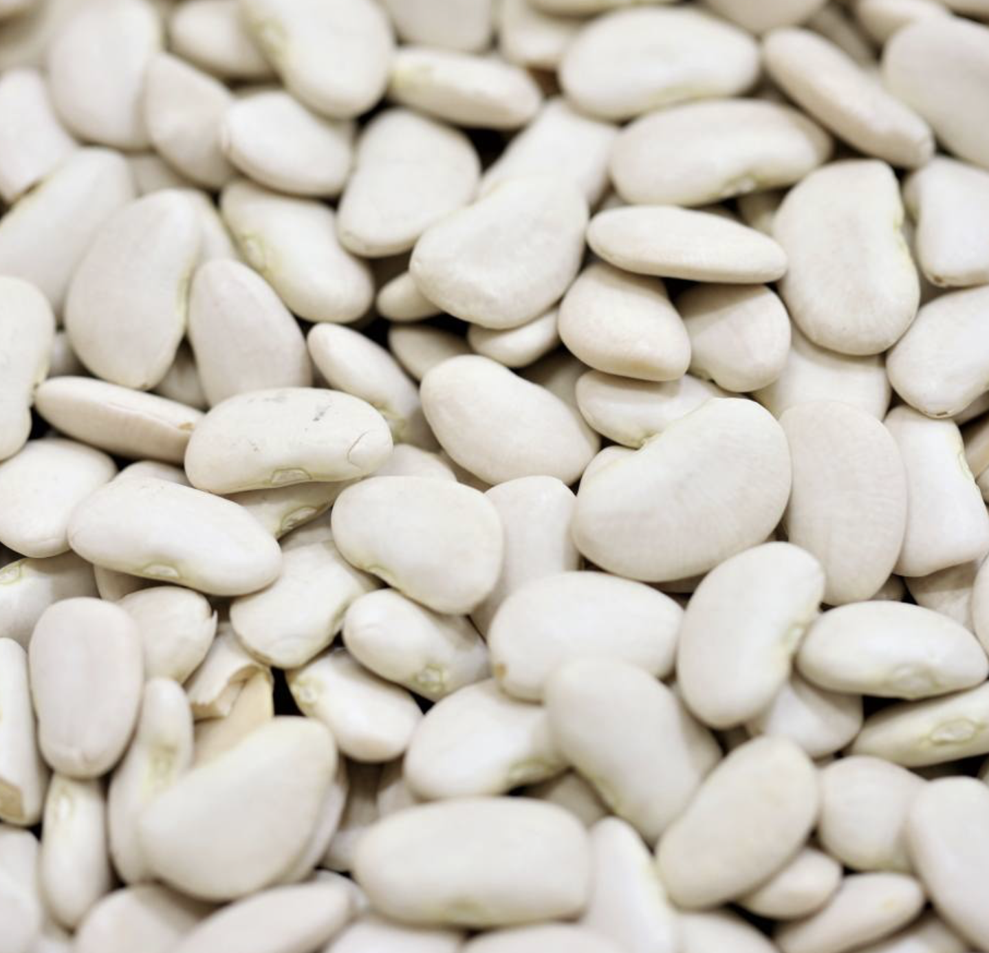 lima-butter-beans-bulk