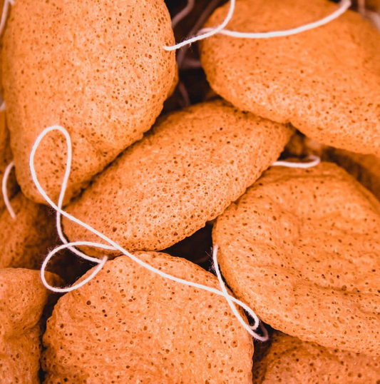 KONJAC FRENCH SPONGES FACIAL ALOE
