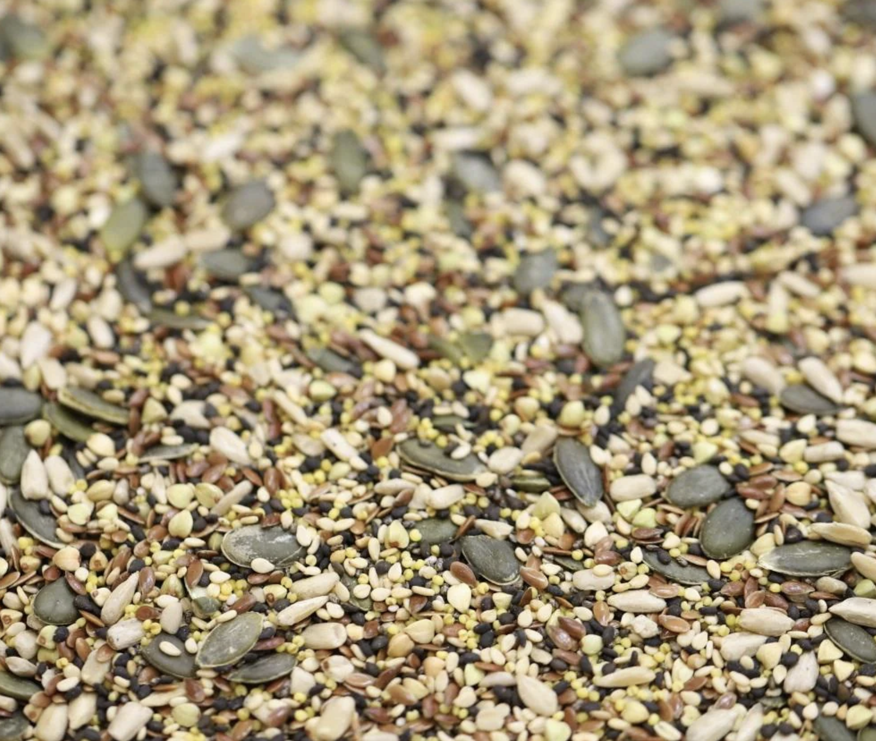 seeds-mix-organic