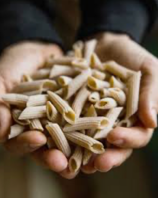 penne-pasta-fermented-bulk