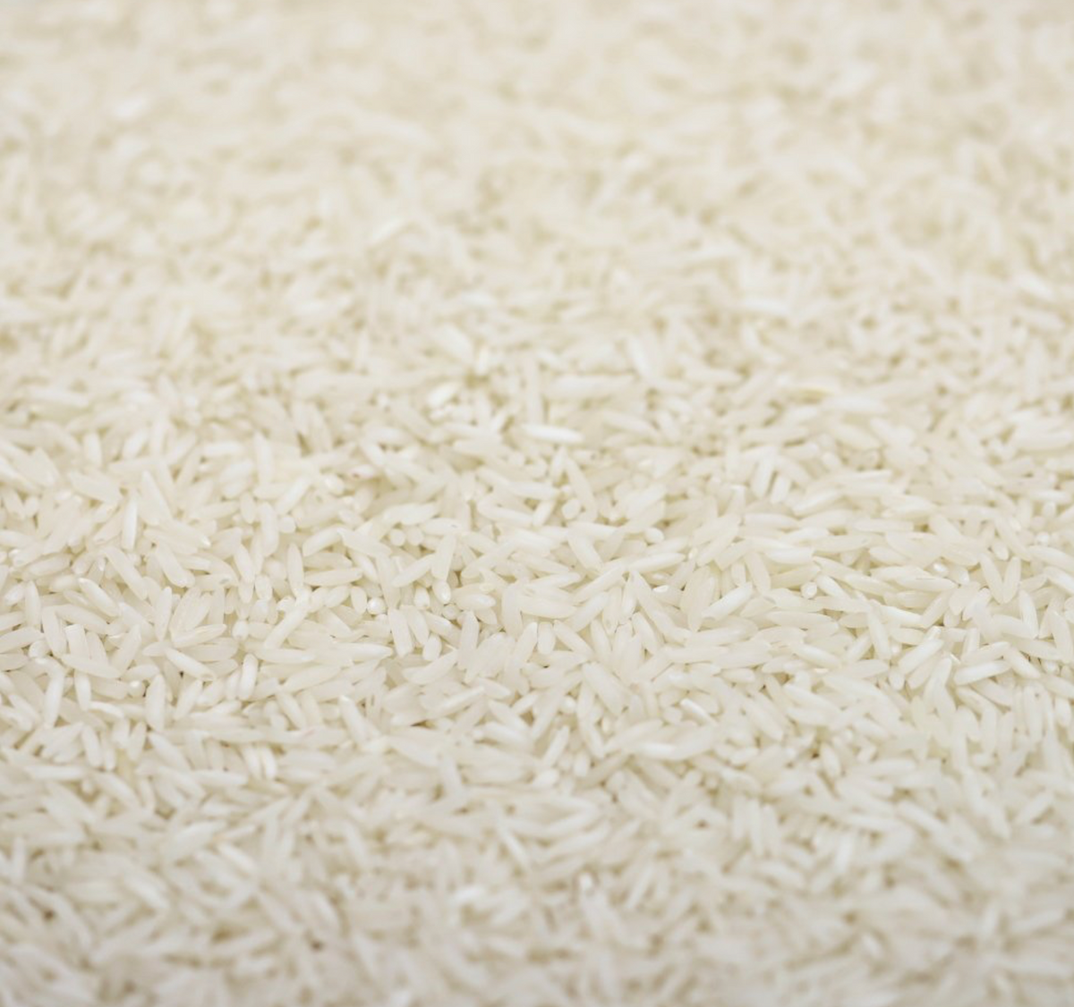 Rice Basmati Organic, in the Pantry Starter Box