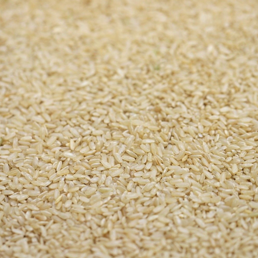 rice-brown-organic-bulk