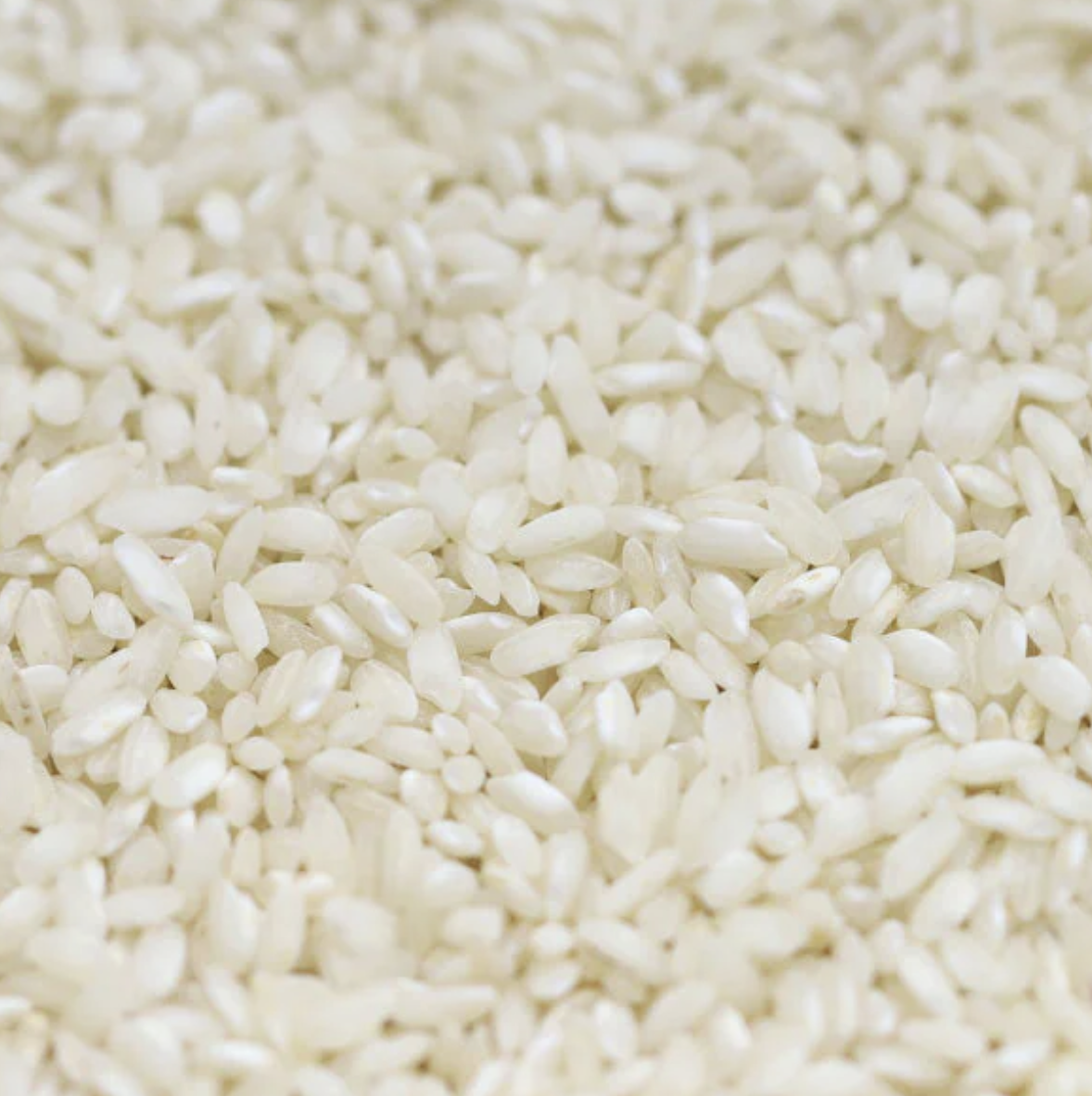 sushi-rice-japanese-bulk