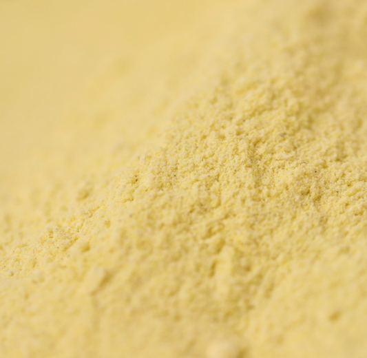 corn-starch-bulk