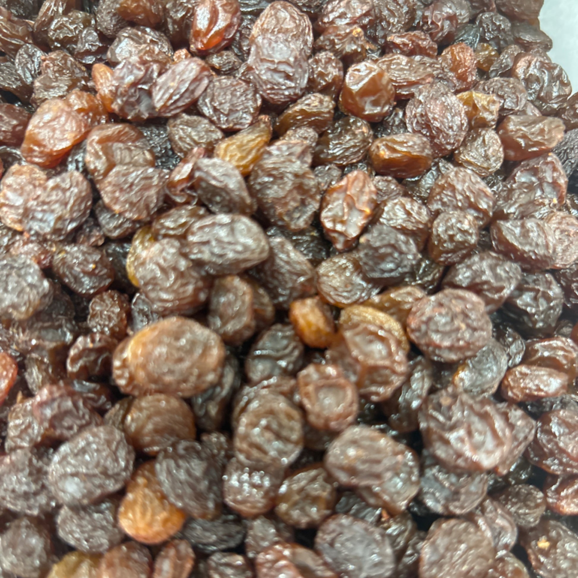 organic-sultanas-bulk
