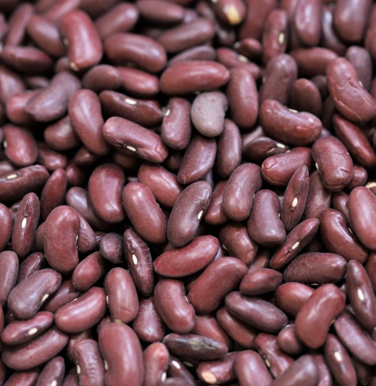 red-kidney-beans-bulk
