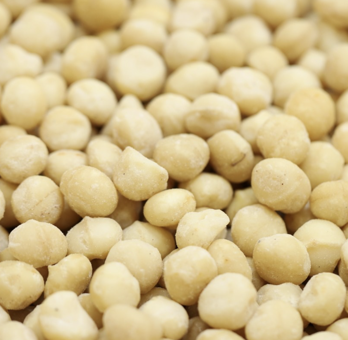 MACADAMIA RAW WHOLE - Bulk