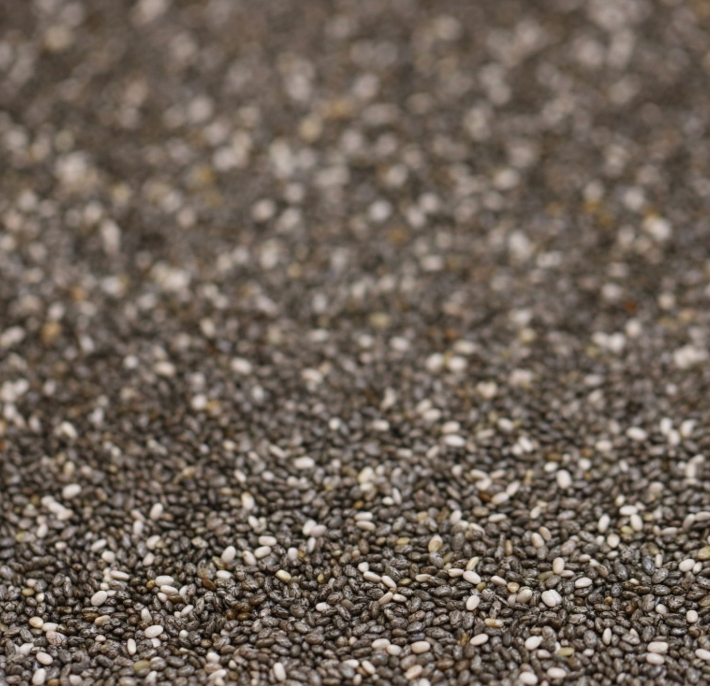 CHIA SEEDS BLACK ORGANIC - Bulk