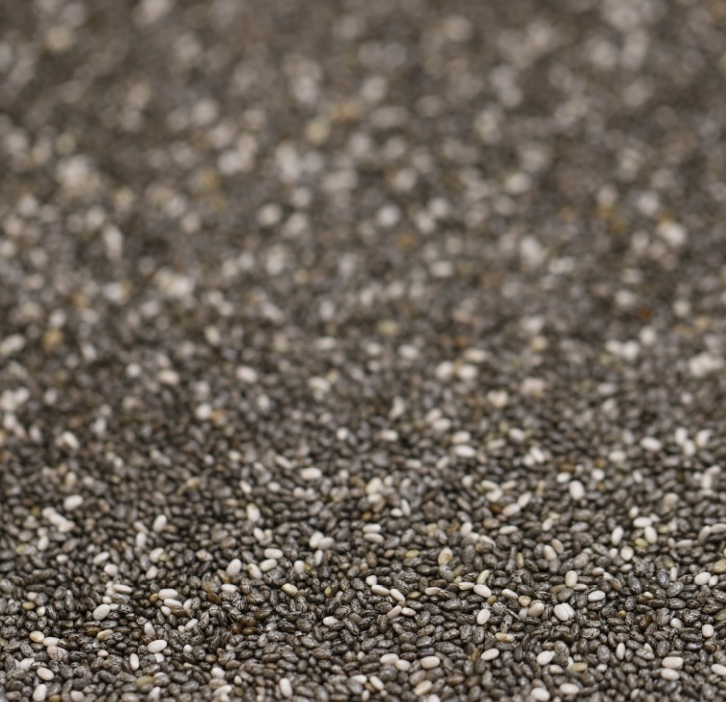 CHIA SEEDS BLACK ORGANIC - Bulk