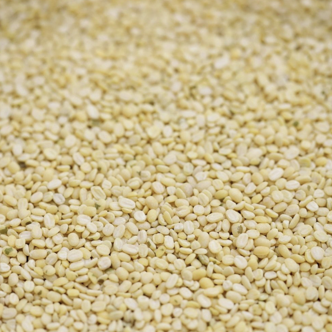 moong-dal-beans-bulk