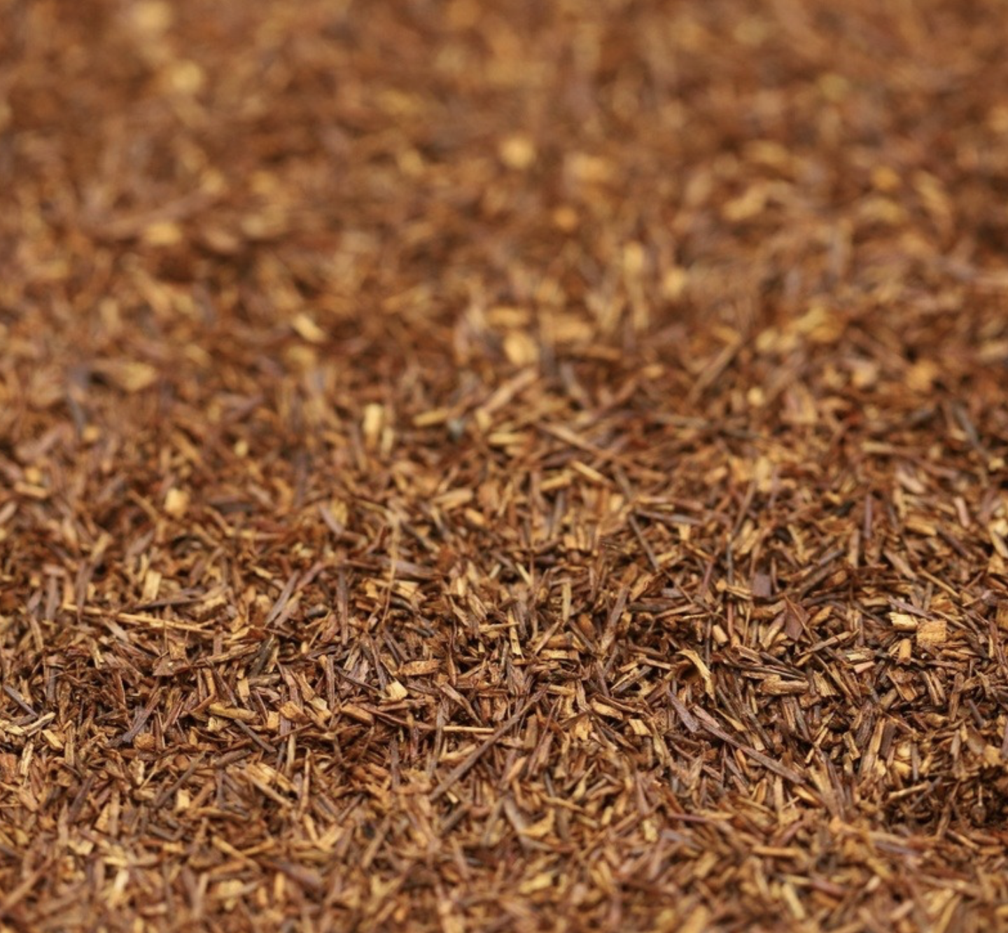rooibos-chai-organic-bulk