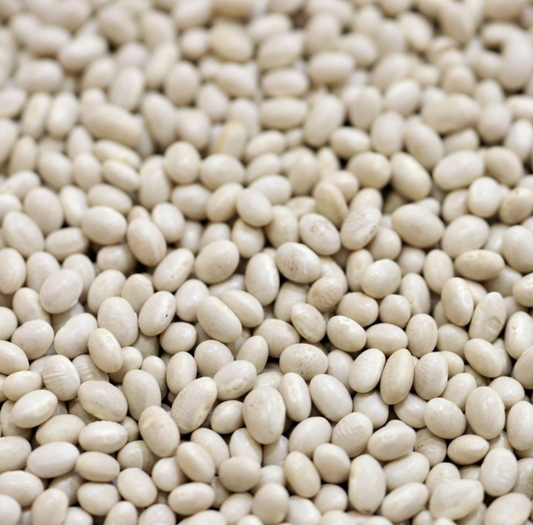 haricot-beans-navy-beans-bulk