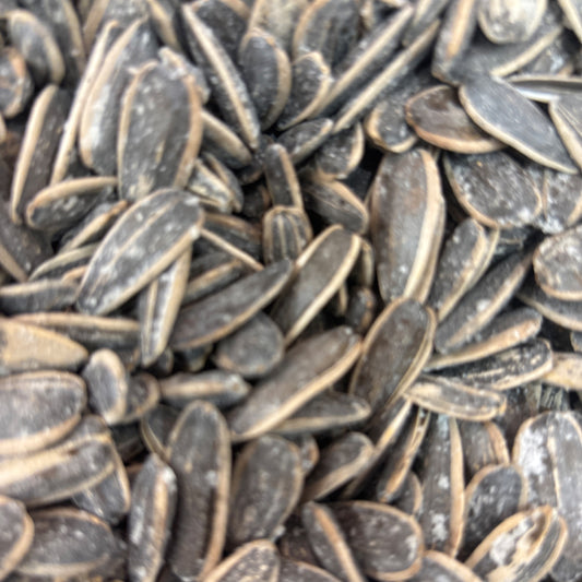 ROASTED SALTED SUNFLOWER SEEDS - Bulk