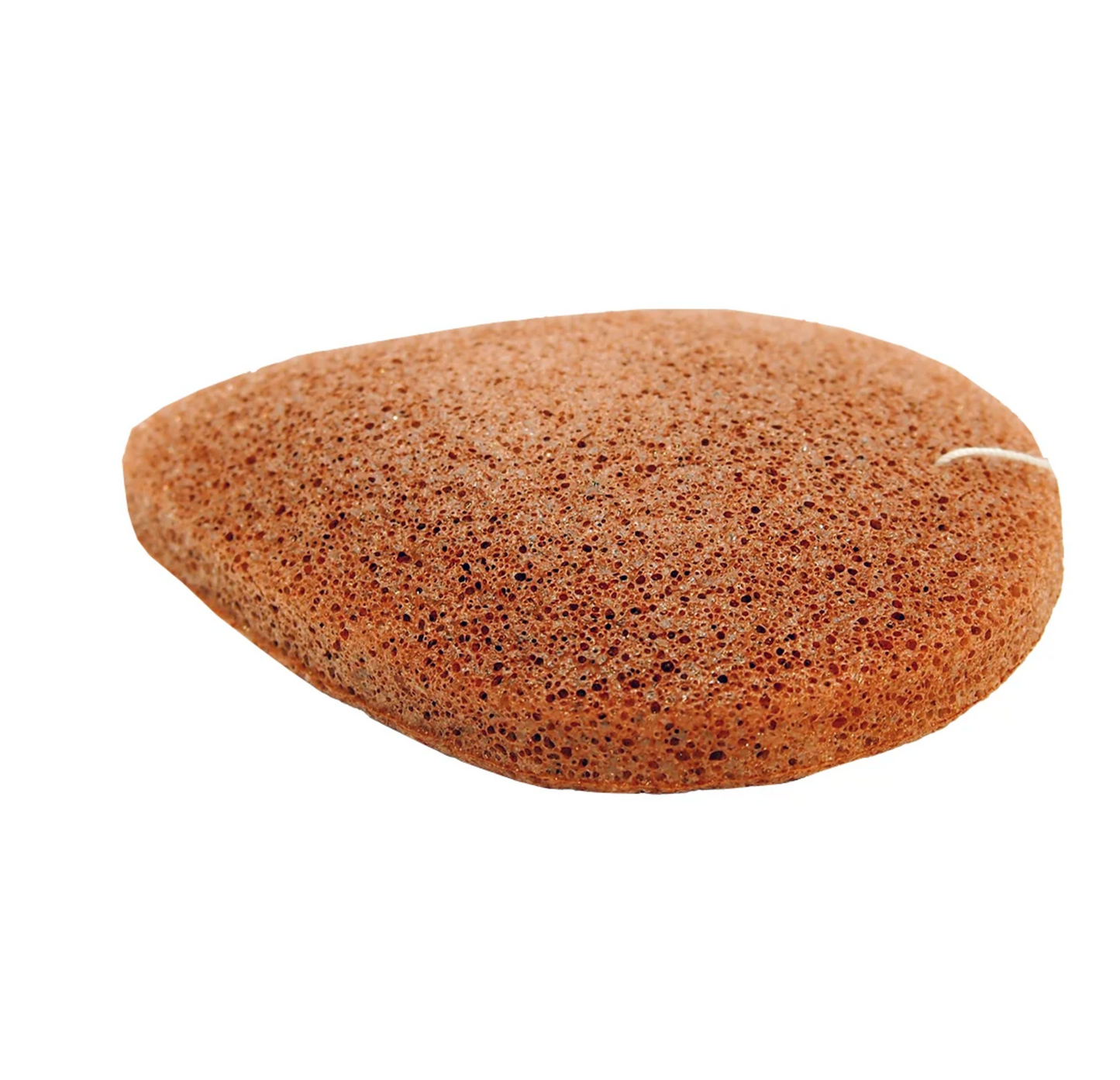 KONJAC FRENCH SPONGES FACIAL ALOE