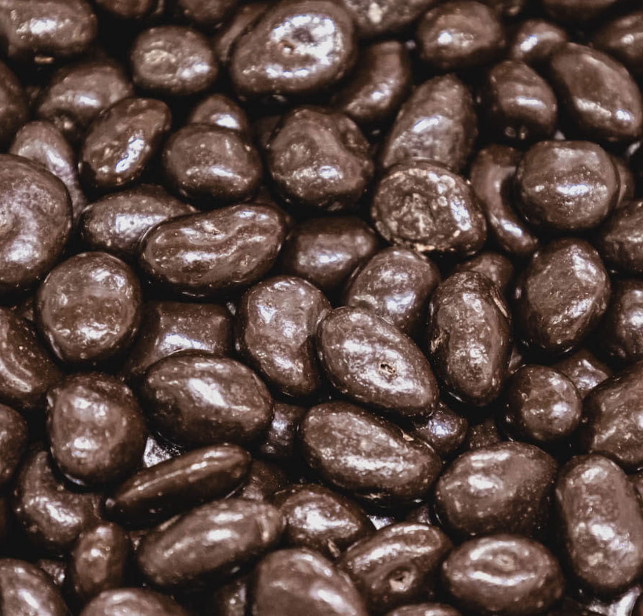sultanas-dark-chocolate-bulk