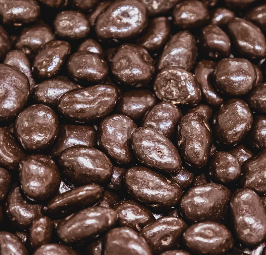 sultanas-dark-chocolate-bulk