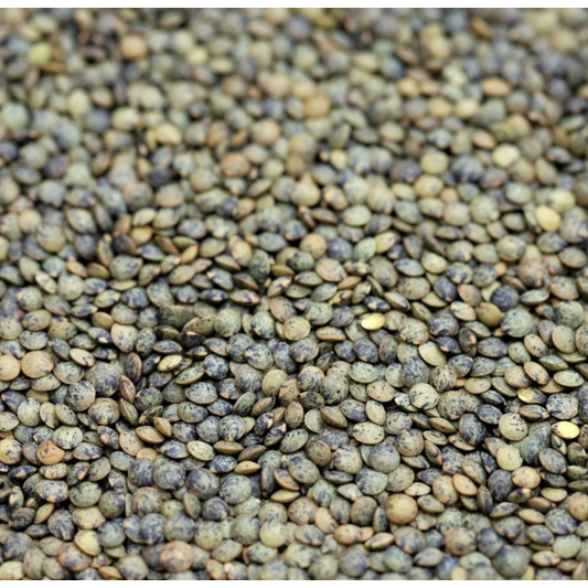 Lentils Du Puy, Scoop Wholefoods Cottesloe
