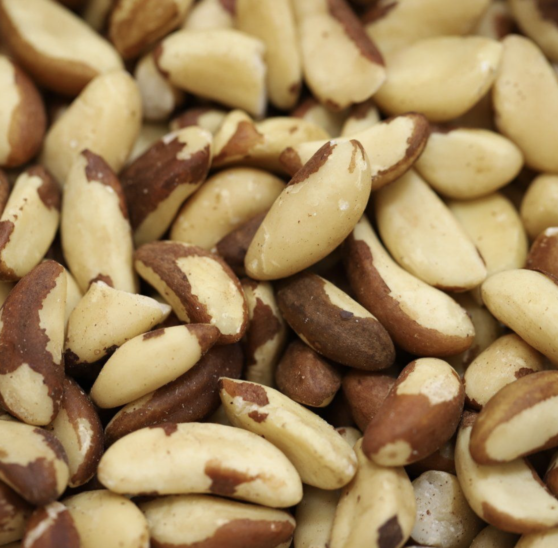 BRAZIL NUTS ORGANIC - Bulk