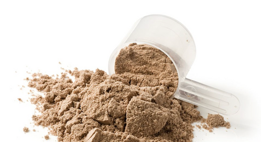 cacao-cinnamon-plat-protein-powder-organic-gluten-free-bulk