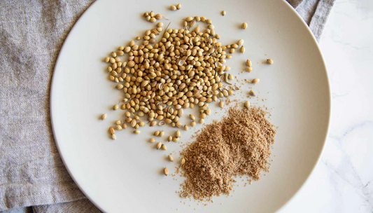 coriander-ground