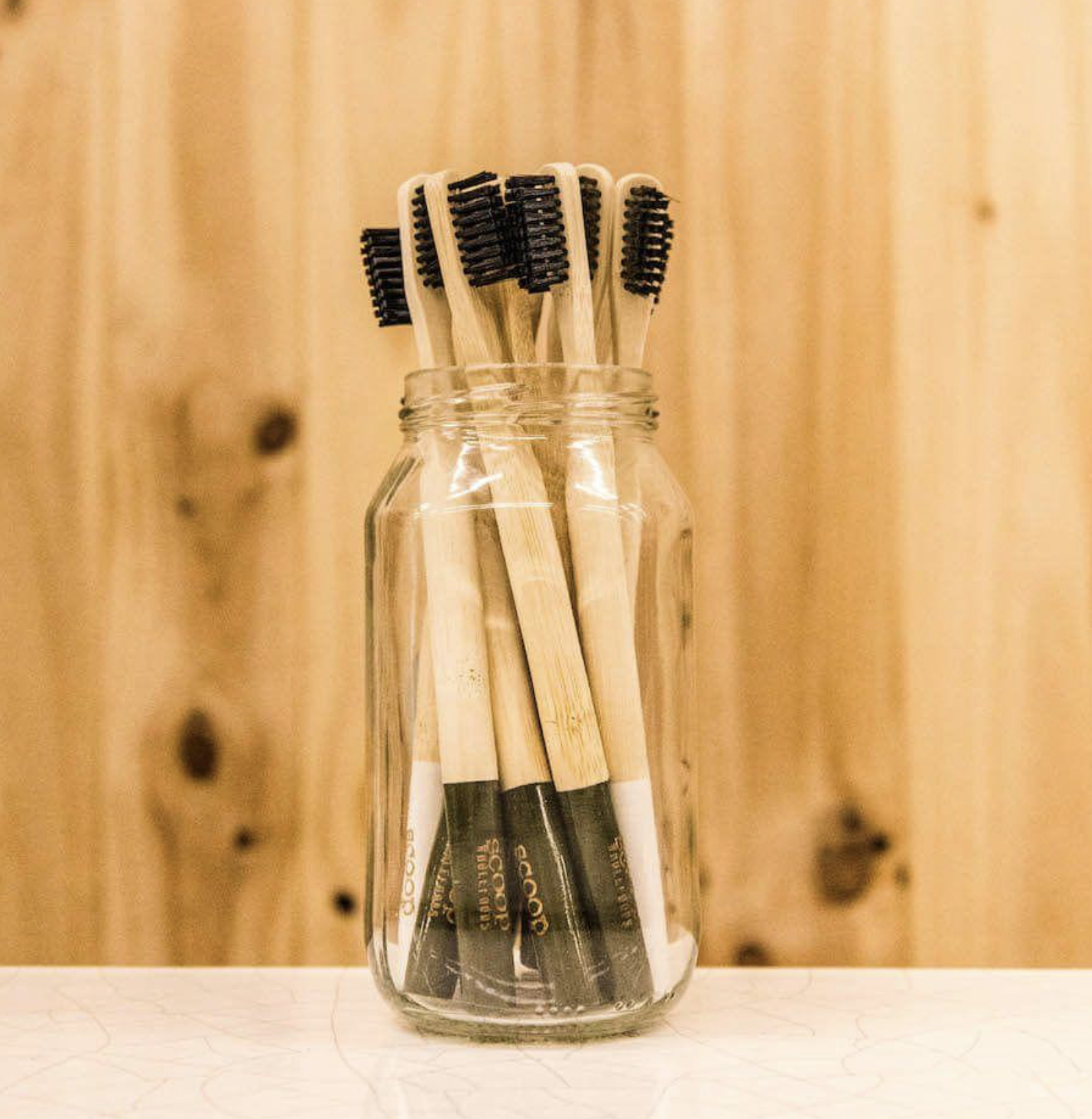 scoop-toothbrushes-adult