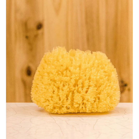 Natural Sea Sponge Small, Scoop Wholefoods Cottesloe