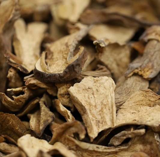 porcini-mushrooms-bulk