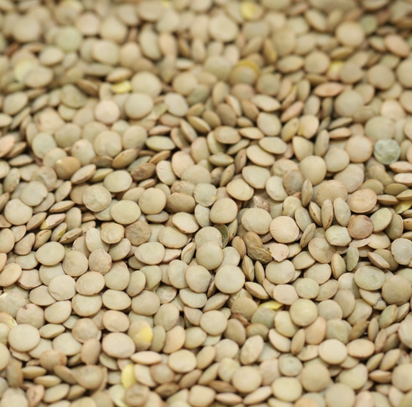 green-brown-lentils-bulk