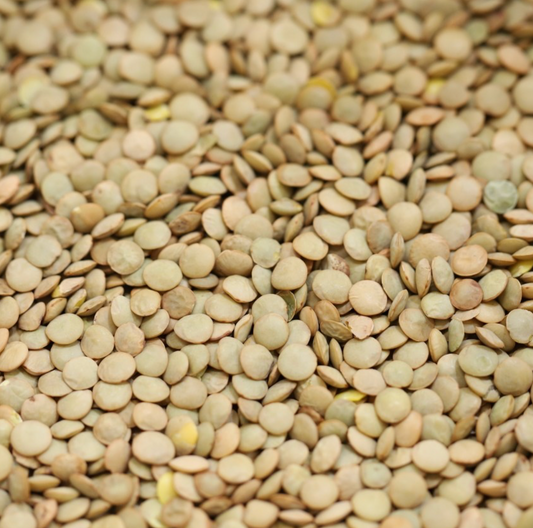 green-brown-lentils-bulk
