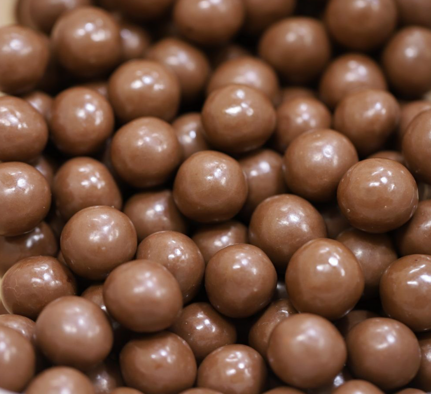 HAZELNUTS MILK CHOCOLATE - Bulk