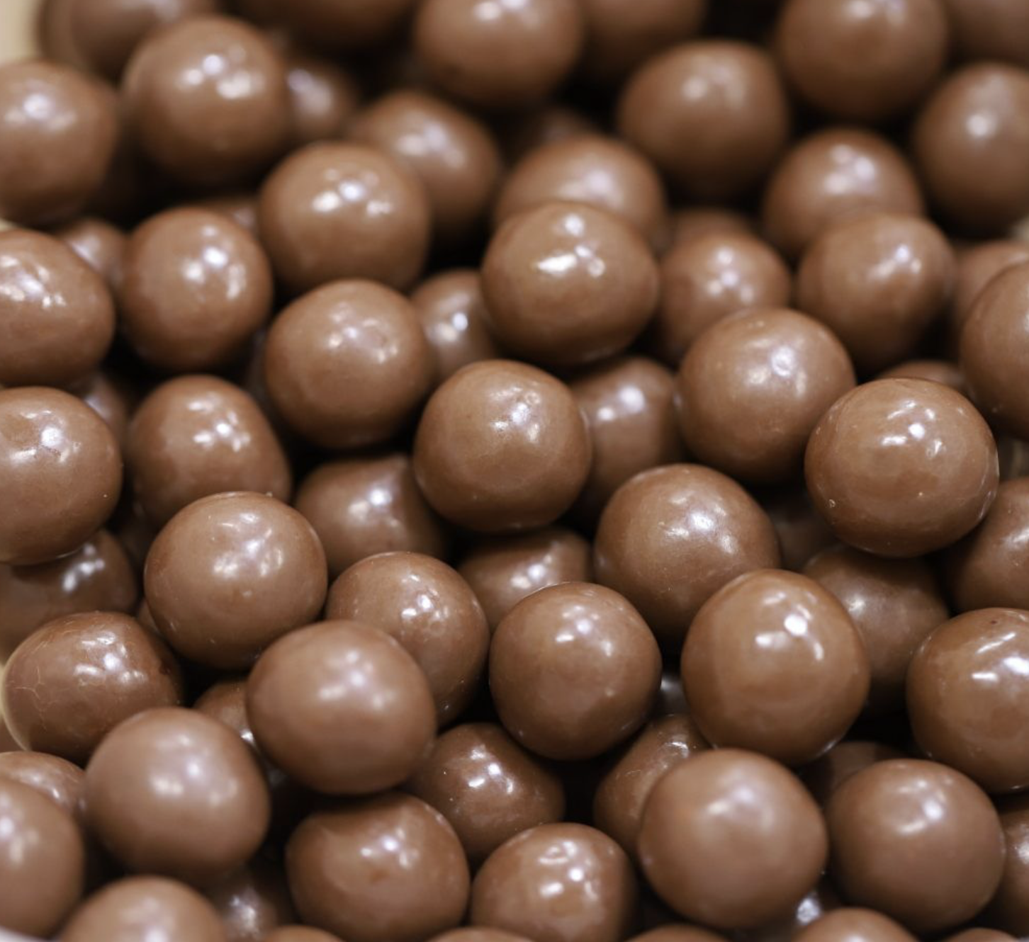 HAZELNUTS MILK CHOCOLATE - Bulk