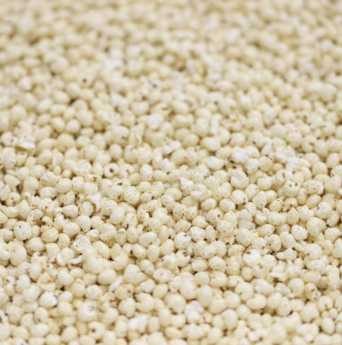 millet-puffed-organic-bulk