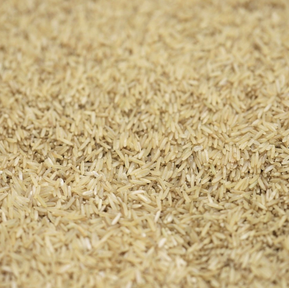 basmati-brown-rice-organic-bulk