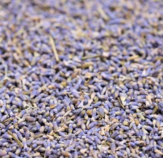 lavender-flowers-bulk