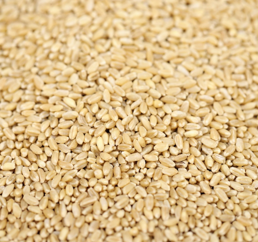wheat-whole-grain-bulk